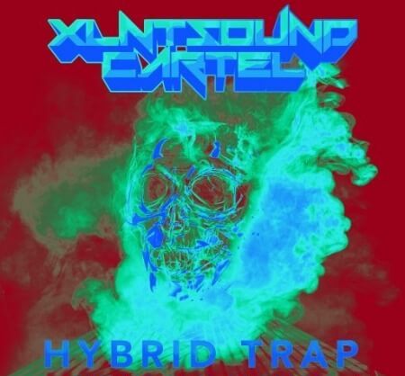 XLNTSOUND CARTEL (BONUS: Hybrid Trap/Future Bass Growls Basses & Loops) WAV